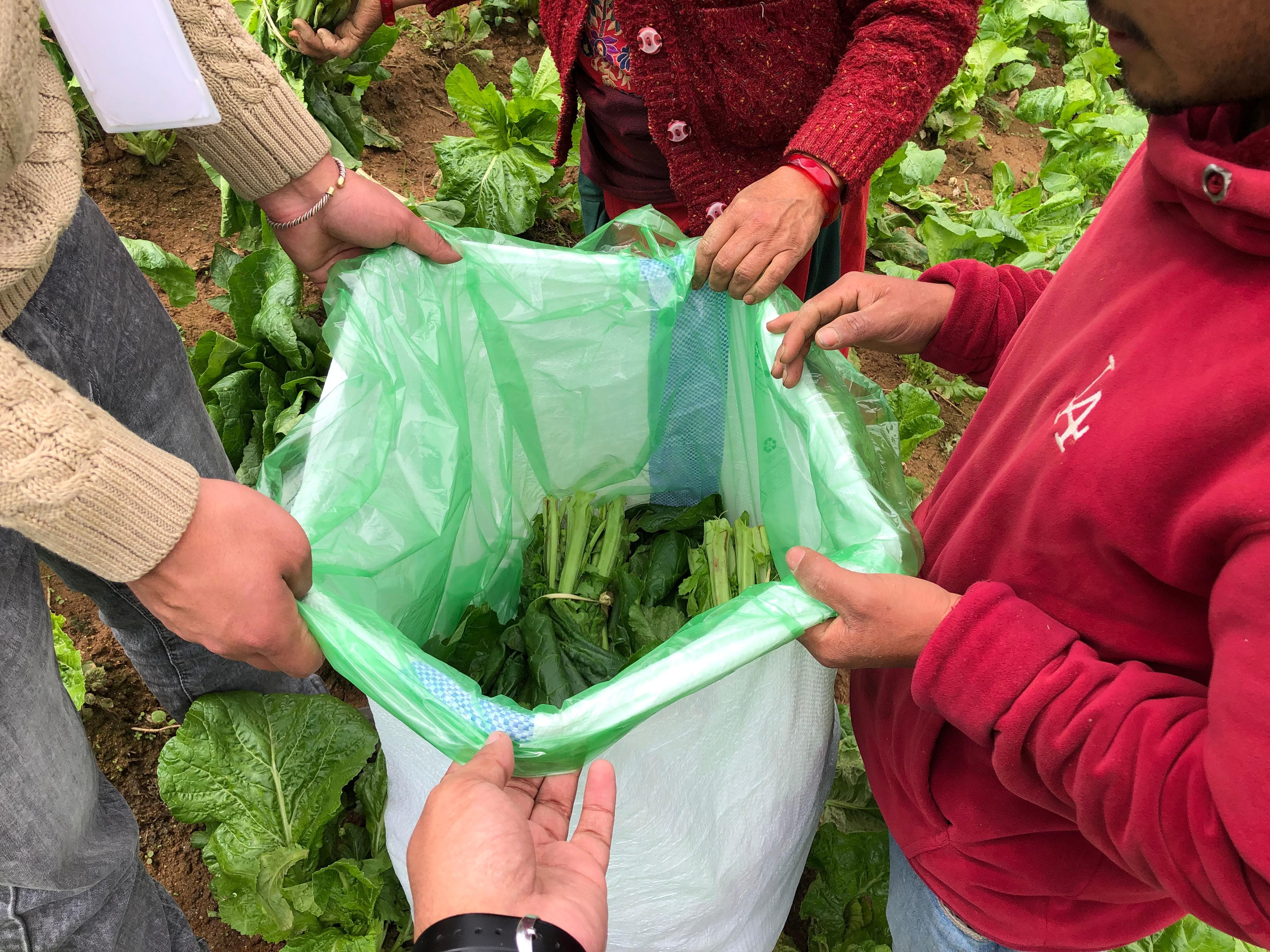 Access to Post Harvest Technology 