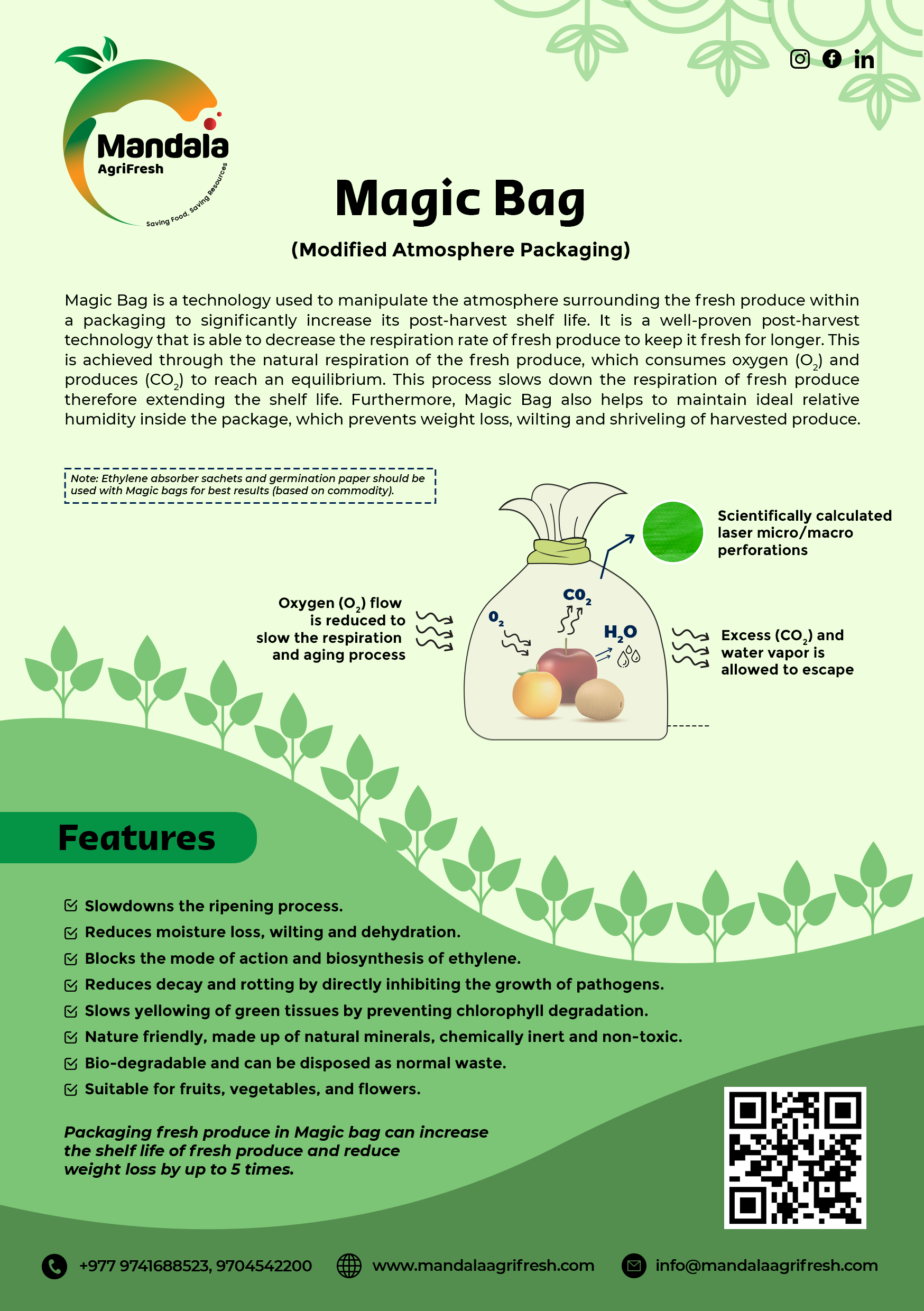 Magic Bag (english) 